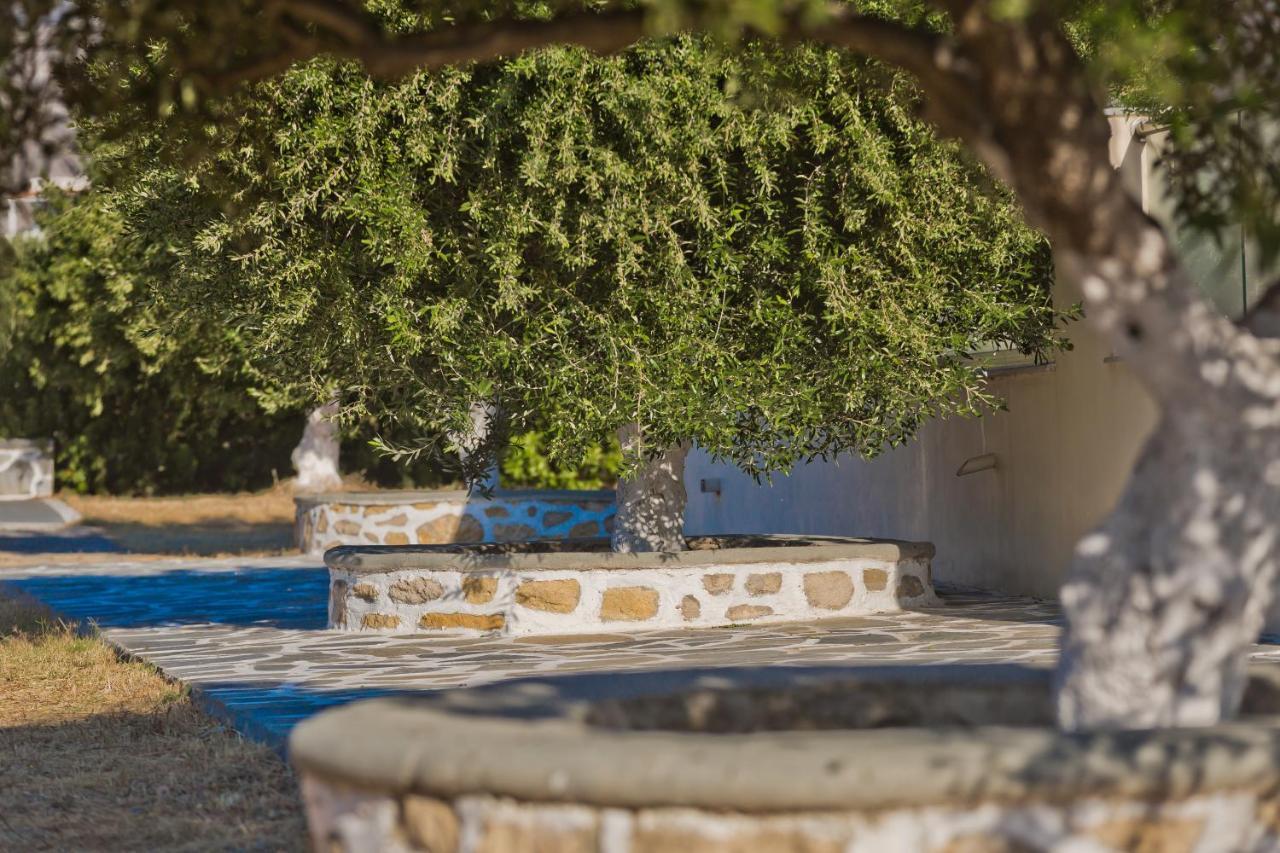 Olive Studios Karpathos Studio #4 Cárpatos Exterior foto