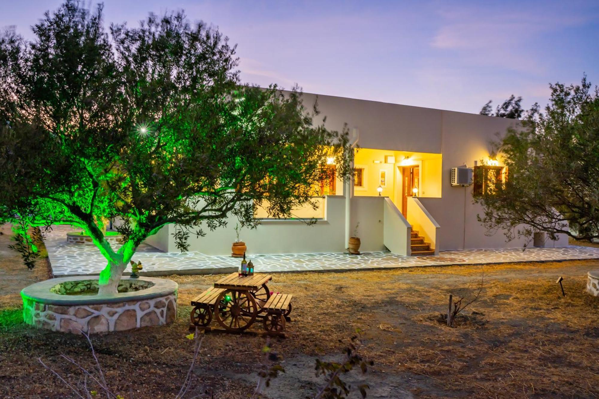 Olive Studios Karpathos Studio #4 Cárpatos Exterior foto