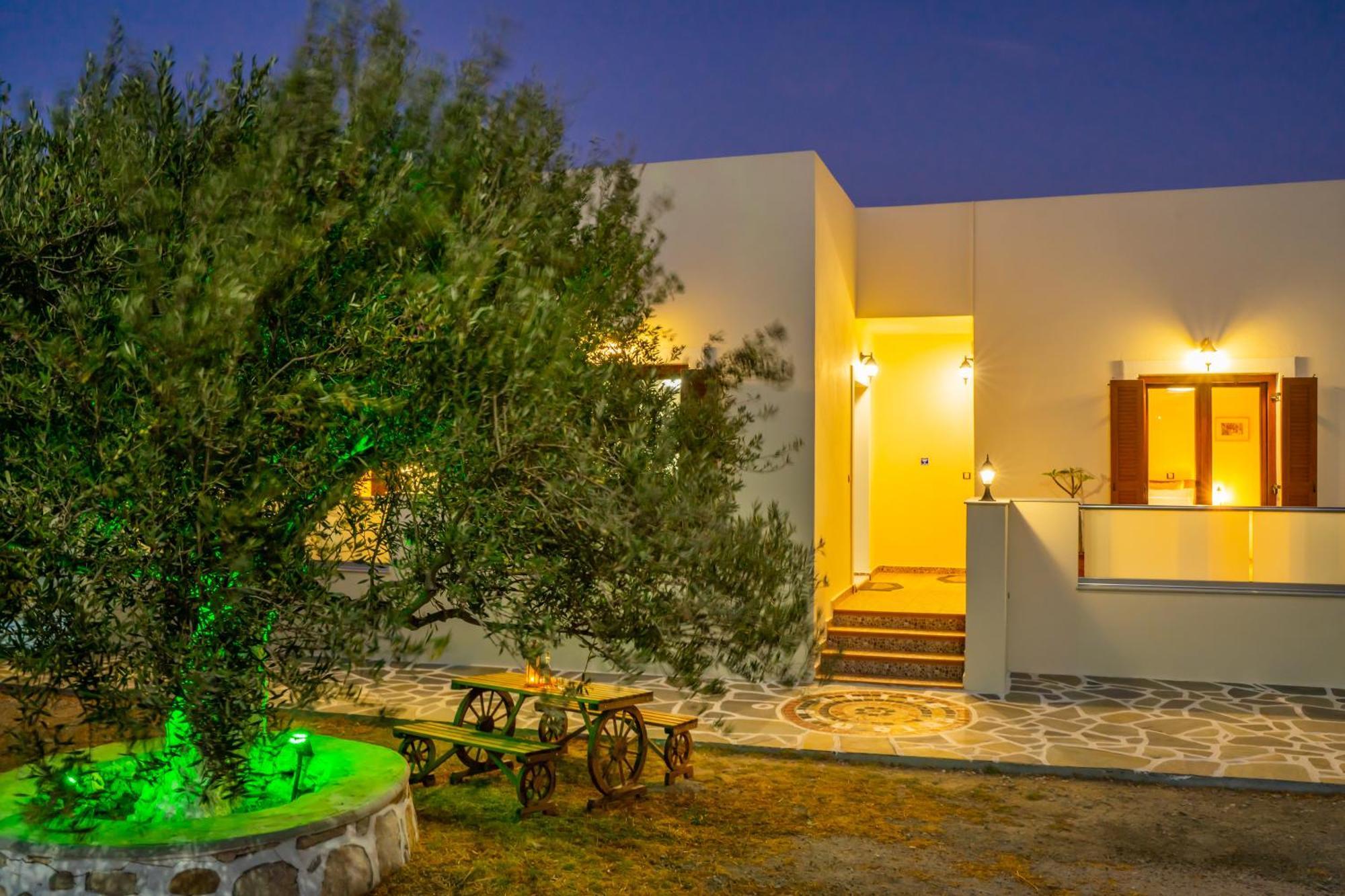 Olive Studios Karpathos Studio #4 Cárpatos Exterior foto
