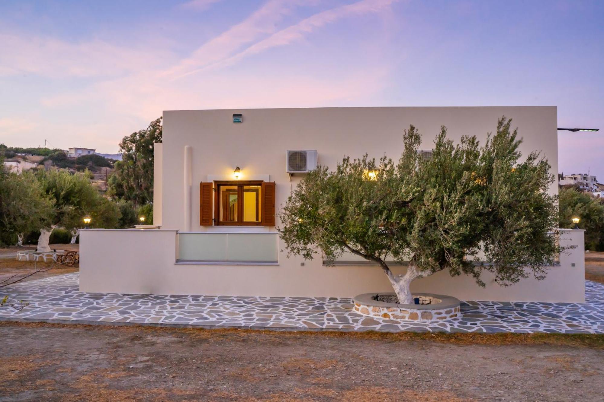 Olive Studios Karpathos Studio #4 Cárpatos Exterior foto