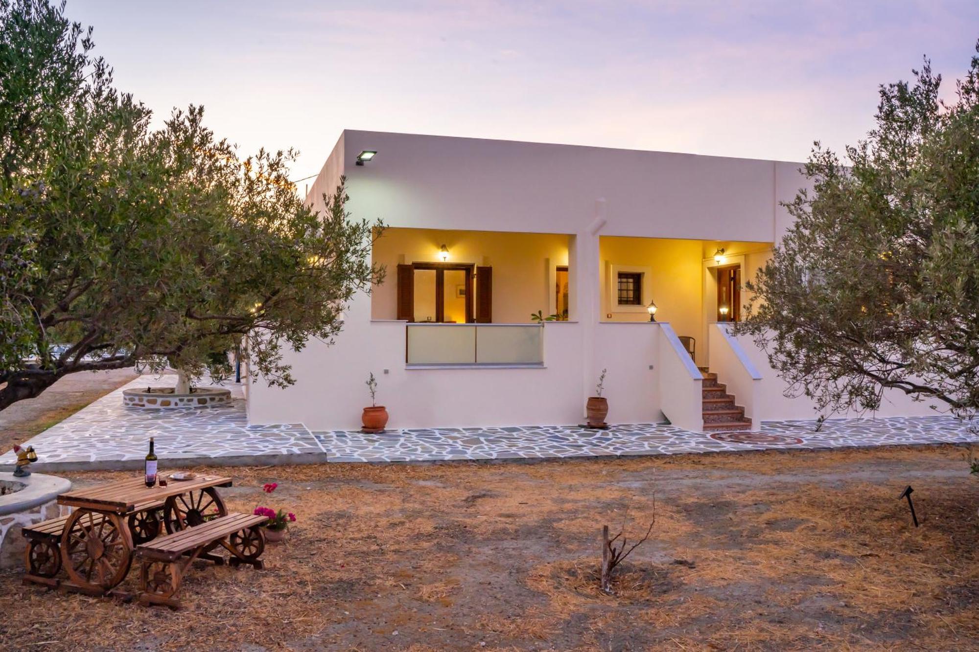 Olive Studios Karpathos Studio #4 Cárpatos Exterior foto