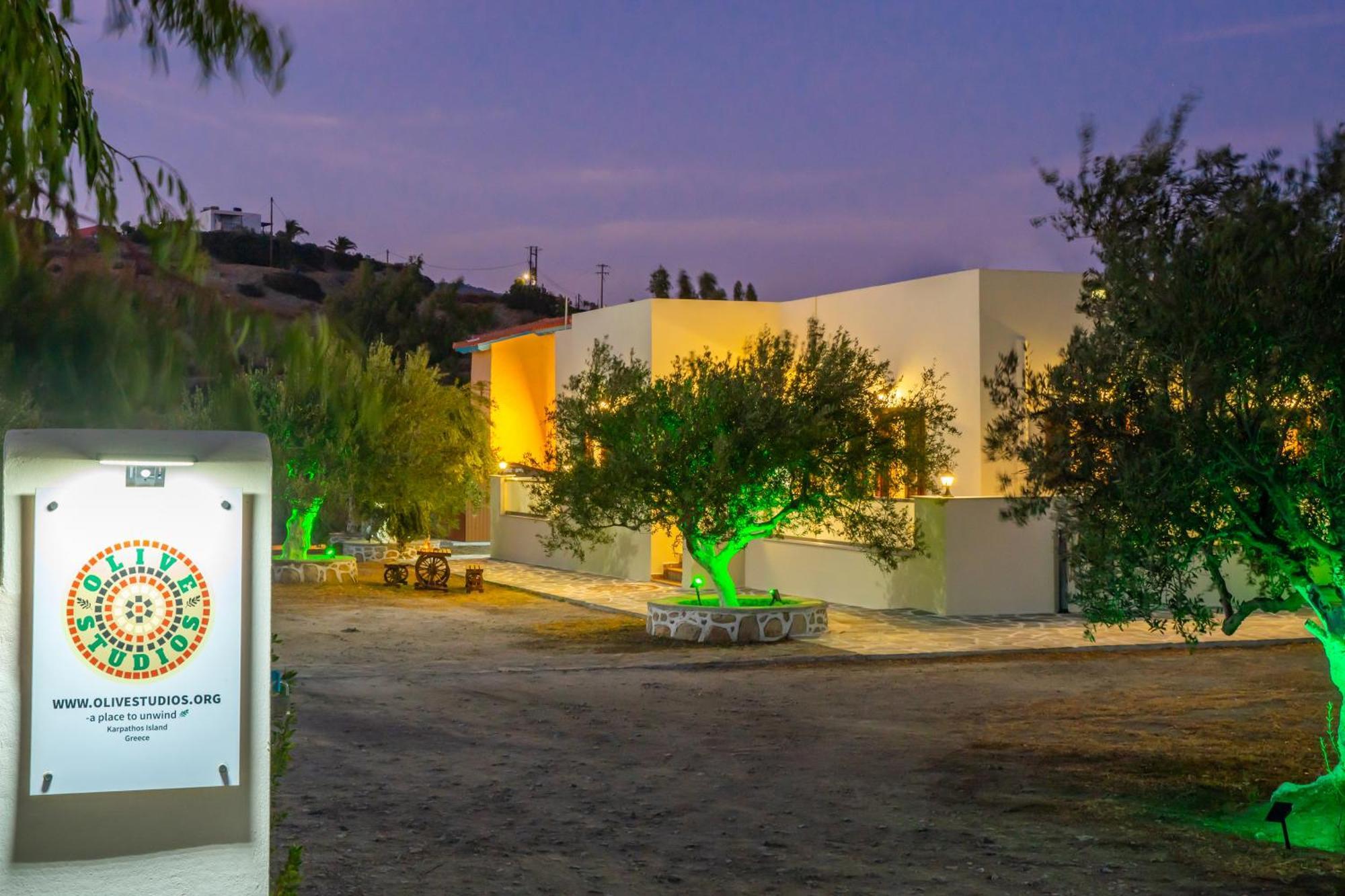 Olive Studios Karpathos Studio #4 Cárpatos Exterior foto